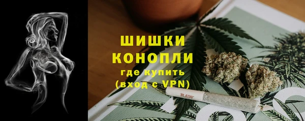 прущий лед Абаза