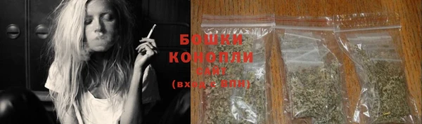 PSILOCYBIN Абдулино