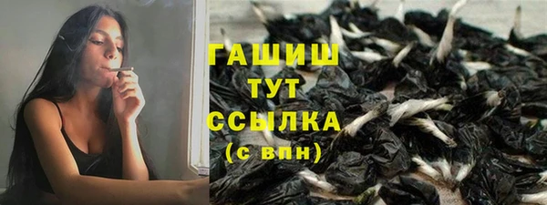 прущий лед Абаза